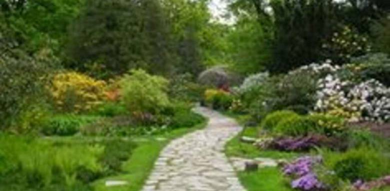 aménagement allée de jardin