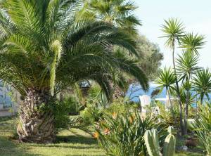 création oasis jardin