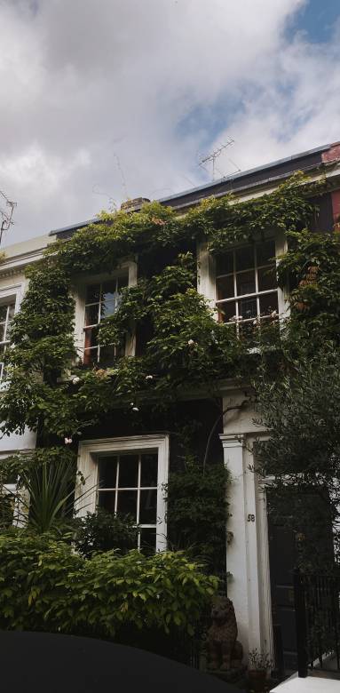 Comment créer un mur végétal ?