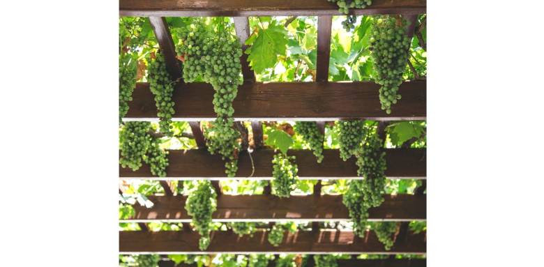 5 raisons d’installer une pergola – La Maison Des Travaux de Cherbourg