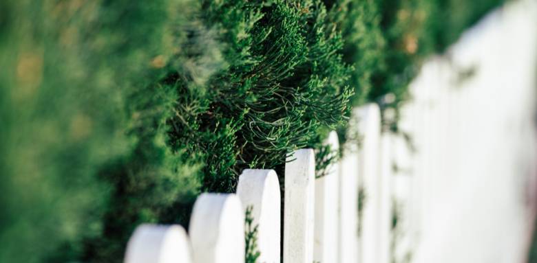 Rénovez votre clôture