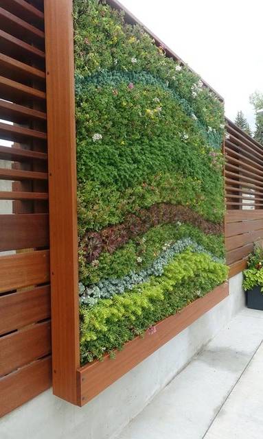 Mur végétal extérieur