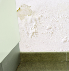 Cloques suite à un dégât des eaux