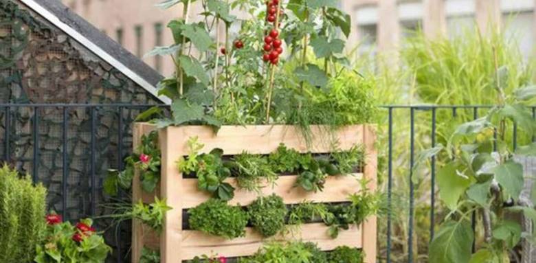 Aménagement d'un potager sur sa terrasse ou son balcon