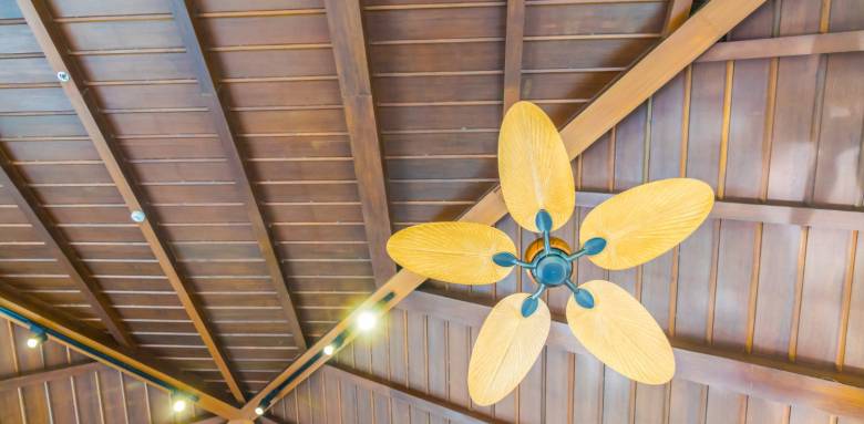 Un plafond cathédrale ou voûté