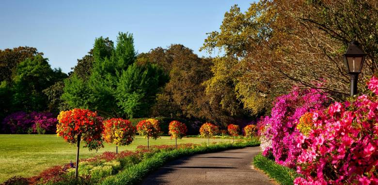Aménagement jardin Chantilly