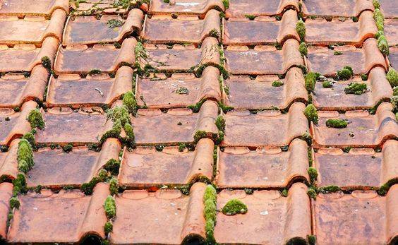 Toiture en tuiles en terre cuite couverte de mousses - Bouc-Bel-Air-13