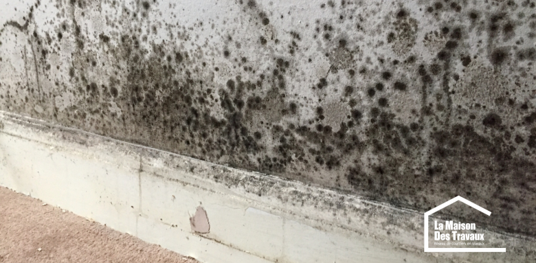 Traitement mur humide Strasbourg - Rénovation intérieure
