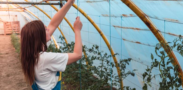 Serre de jardin en plastique - Rochefort 17