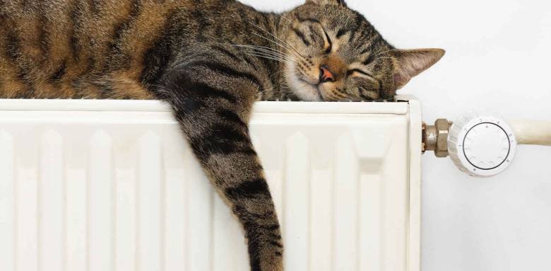 choisir son radiateur