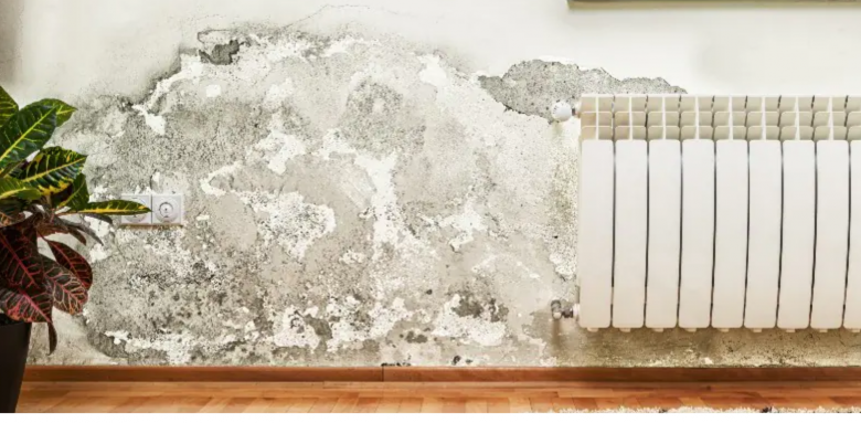 Remontées capillaires