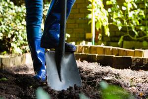 jardin potager arrosage économique et écologique