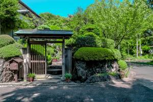 Jardin japonais