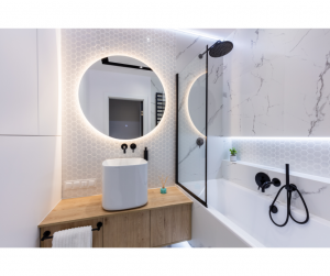 Aménager salle de bain sans fenêtre La Ferté Saint Aubin