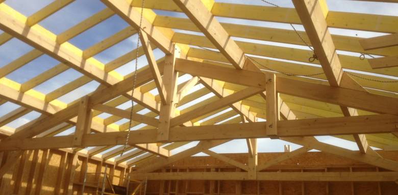 Ma charpente est-elle saine ? 