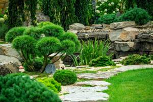 jardin japonais Salon-de-Provence