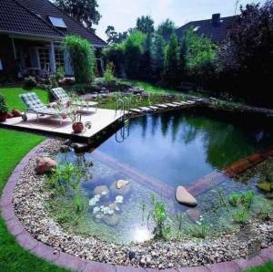 Piscine naturelle forme ovale