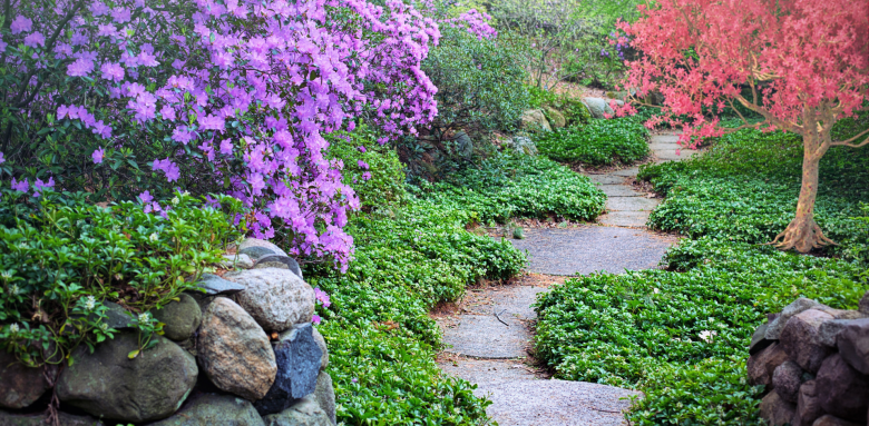Aménagement de jardin à Dijon