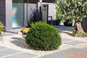 Aménagement de jardin épuré supportant la sécheresse