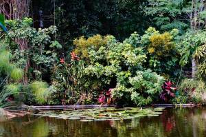 creation oasis jardin, oasis conseil jardin, oasis biodiversité création, oasis tendance idee, etape creation oasis jardin, oasis jardin verdure
