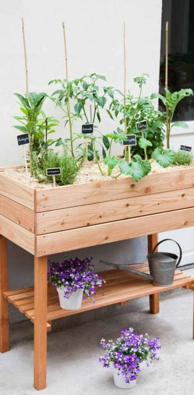 Aménagement d'un potager sur sa terrasse ou son balcon