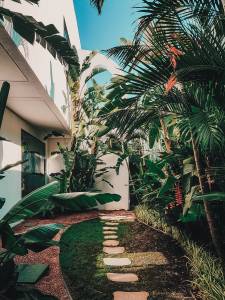 Aménagement de jardin, plantations et séparations