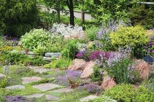 Jardin minéral avec massifs et arbustes