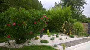 Créer son jardin japonais : tous nos conseils