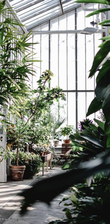 Serre de jardin