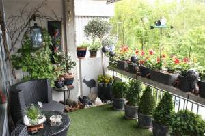 Balcon terrasse fleurs plantes