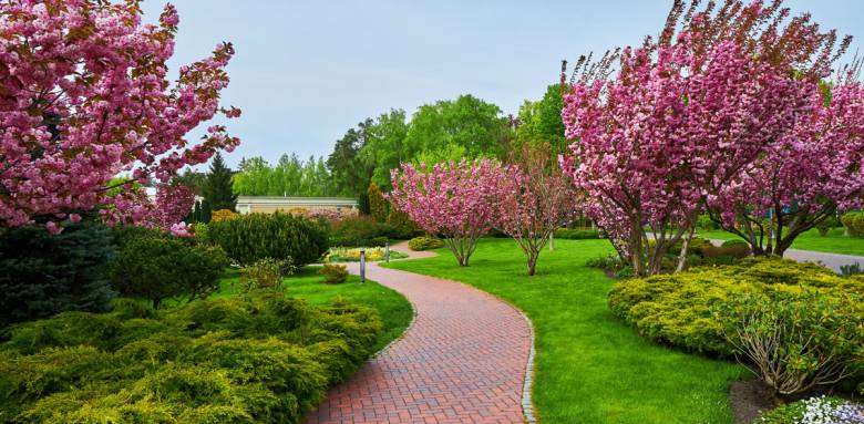 Allée de jardin