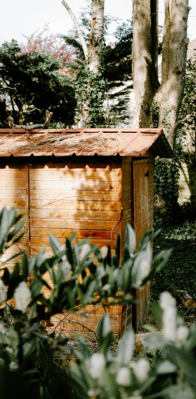 Cabane de jardin en bois