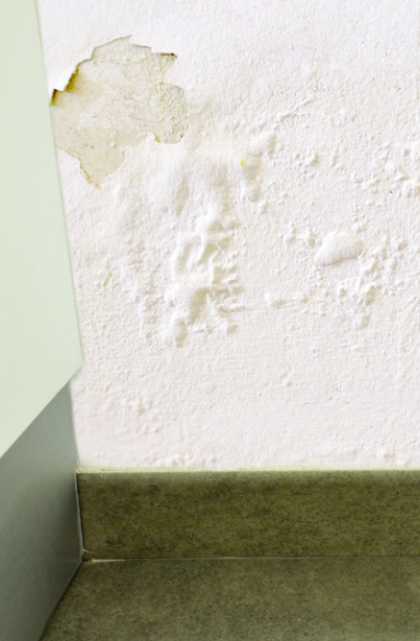 Cloques suite à un dégât des eaux