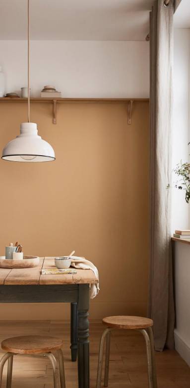 rénover ses murs : quelle peinture choisir 