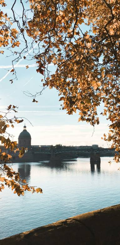 Comment optimiser l'espace dans un appartement toulousain de centre-ville ?
