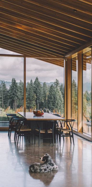 Extension en bois avec parois vitrées à Annemasse