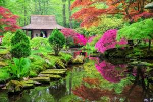 jardin japonais