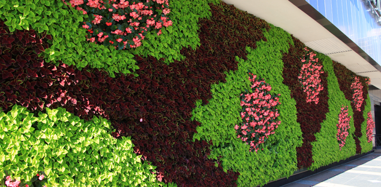 Mur végétal extérieur