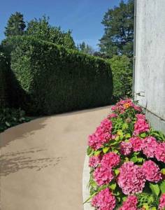Comment créer et aménager son allée de jardin ? Allée de jardin en bois, goudronnée ou en graviers ?