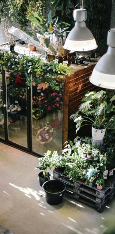 Intérieur de serre de jardin 