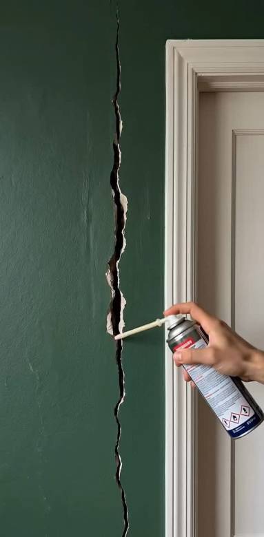 Fissure mur porte Vincennes