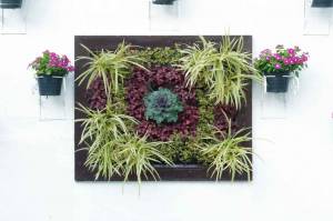 Le mur végétalisé comme idée Déco