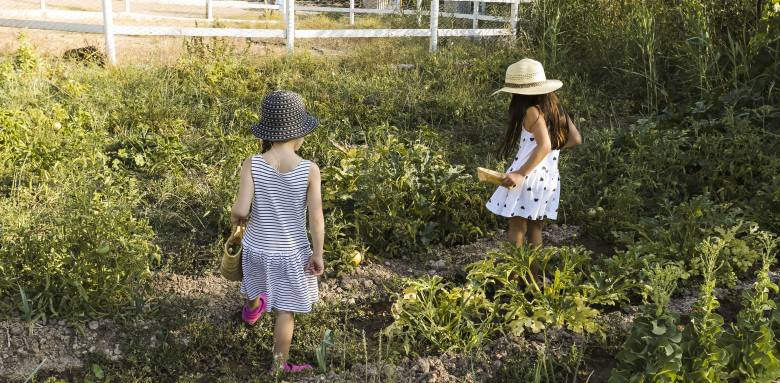 Aménager un jardin en pente avec un potager en terrasses - Valence 26