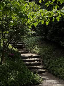 Ces jolis escaliers donnent du charme au jardin et permettent d'accéder au niveau supérieur