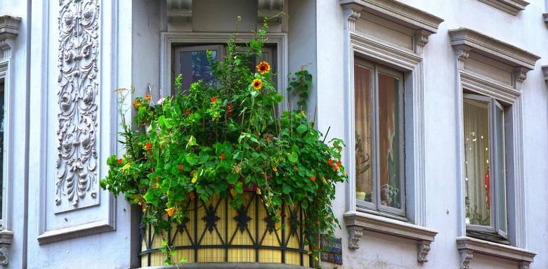 balcon jardin toulouse