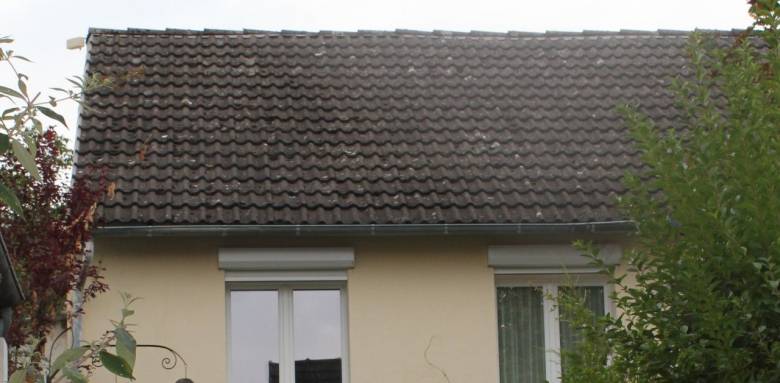 Rénovation de toiture en tuiles béton