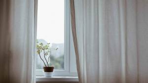 Les différents styles de fenêtres