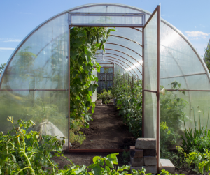 Serre de jardin Amiens