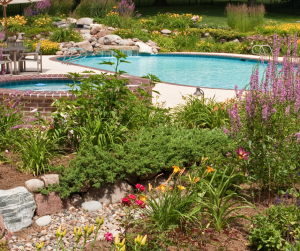 Créer un oasis dans son jardin à Montbrison
