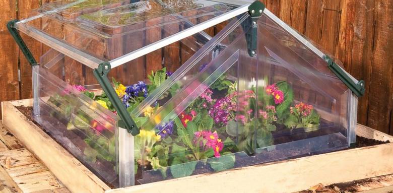 Serre avec chassis en polycarbonate